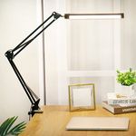 Lamp With Adjustable Arms