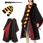 Wizard Costume Cosplay Set, Wizard Cloak Robe for Adult Teen, Witch Halloween Costume Magic Accessories for Party Red Inner Black Hooded Cape Large