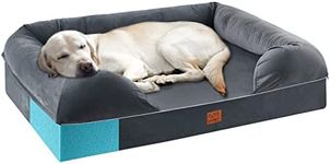 URPET 4 Inch Full Memory Foam Dog B