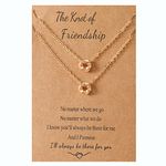 Amazon Collection Friends Gold Necklaces