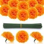 Hananona 200 Pcs Marigold Flower He