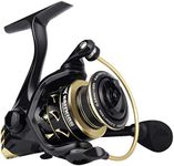 KastKing Valiant Eagle Spinning Reels, Black Gold Fishing Reel, Size 1000