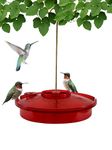 Songbird Essentials Hummingbird Feeder, Hummingbird Haven Outdoor Hummingbird Nectar Feeder, Red, 16 Ounce Capacity