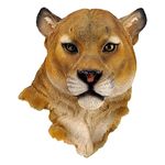 CALANDIS® Wild Animal Head Wall Sculpture Mounted Ornament Statue Hanging Art Decor 20x10x23cm | Resin | 1 Piece Animal Head Wall Decoration