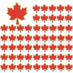 Dhjkko 50pcs Canada Souvenirs Flag Pins, Canadian Souvenirs Maple Leaf Lapel Pins Brooch Badges Canada Gifts for Men Women Decor