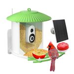 runofast HiBirds-Smart Bird Feeder with Camera,Bird Watching Camera with Solar Powered,Auto Capture Bird Videos & Motion Detection,Free AI Camera,Ideal Gift for Bird Lover