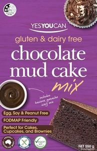 Yes You Can Chocolate Mud Cake Mix 550 g