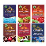 PUFF SMART Herbal Hookah Molasses (100% Nicotine and Tobacco Free) Double Apple, Brain-o- Freeze, Zafran Pan, Chocolate, Pan Kiwi Mint and Dubai Special Hookah Flavor (Pack of 6)