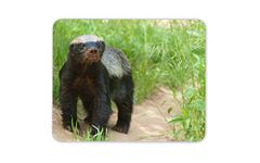 Destination Vinyl Ltd Scary honey Badger Mouse Mat Pad - Natural World Wildlife PC Fun #16108