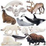 toymany 12PCS Large Polar Animals Figurines, 4-19CM Plastic Arctic Animal Toy Preschool Set Includes Polar Bear,Caribou,Whales,Walrus, Cake Toppers Christmas Birthday Toys Gift for Kids Toddlers