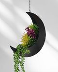 ABETREE Hanging Moon Planter, Plant Hanger Indoor Hanging Plant Holder Moon Decor for Succulents,Air Plants Window and Ceiling Home Decor