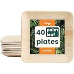 HAAGO Compostable Palm Leaf Plates - Eco-Friendly Disposable Tableware for Picnics, Safe for Freezer & Microwave (40, 25cm / 10" Square)