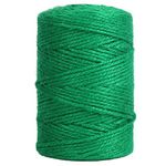 Vivifying 328 Feet Green Garden Twine, 3mm Jute Twine String for Climbing Plants, Gardening, Tomatoes, Vines, Floristry, Bundling and Crafts