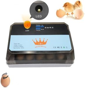15 Egg Inc
