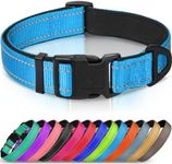 Joytale Reflective Dog Collar, Soft