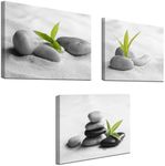 Biuteawal 3 Piece Zen Canvas Wall Art for Bathroom Decor Zen Stone with Green Plant Picture Print Peaceful Still Life Artwork Painting Modern Home Bedroom Meditation Room Spa Room Decoration