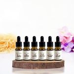 PRISTINE Top 6 Hotel Blend Essential Oils 6 Pcs Set for Diffuser for Home, Humidifier, Aromatherapy (Casa Particular,Morrocan Riad,English Country Inn,Maldives Villa,Swiss Château,Japanese Ryokan)