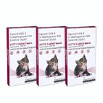 Medilogy Kitty Karno's Flea And Tick Control: Powerful Cat Flea Killer - Effective Cat Flea Prevention Medicine For Kittens And Cats (8 Weeks Onwards) | Pack Of 3 (.5Ml Per Pack)