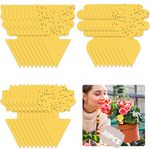 Buauty 30Pcs fly trap, Yellow Fly Paper Stickers catcher fruit fly traps indoor Non-Toxic and Eco-Friendly fungus gnat killer for Multiple Insect