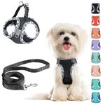 Small Dog Harness and Leash Set, No Pull Adjustable Reflective Breathable Mesh Step in Dog Harness Easy Walk Dog Harness for Extra Small/Small Medium Dog Cats Puppy (Black, XXS)