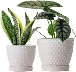 Docrin Plant Pots Indoor- 6.6 and 5.5 Inch,Ceramic Planters with Drainage Holes and Saucer for Succulent, Flower and Plant, Gardening Decoration ,Indoor or Outdoor,Set of 2, Gifts for Mom,Milky White