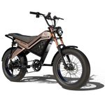 HOOPOE BIKES XO-Ride Conqueror Electric Cycle – 250W Rear Hub Motor | Bright LED Display | Shimano 7-Speed | 36V 13Ah Battery | 2-Seater (Rose Gold)