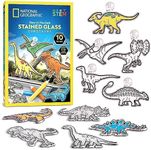 NATIONAL GEOGRAPHIC Kids Stained Gl