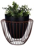 Amazon Brand - Solimo Metal Planter | Planter with Copper Finish Metal Stand | Lightweight (Black)