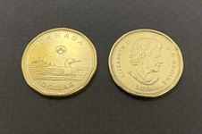 Pair of Double Sided Coin - Loonie Same Side Coin Pair - Double Sided Canadian Dollar Coin Magic Trick