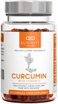 Elixirvit Liquid Curcumin with Vitamin D – 185x More Bioavailable Than Typical Turmeric/Curcumin Supplements – Advanced Turmeric Extract with NovaSOL – 60 High Strength Capsules