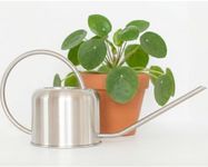 Stainless Steel Watering Can for Houseplants by Houseplant Resource Center | 1L Capacity for Indoor/Outdoor Plants in Brushed Silver