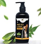 OH MY PET Anti-Itch & Dryness 2-in-1 Shampoo with Conditioner I for Dogs & Cats with 100% Natural Plant-Based Formula | Tick & Fleas | Anti-Fungal I for Allergic, Dry, Itchy & Sensitive Skin I 250ml