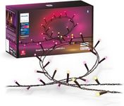 Philips Hue Festavia String Lights 20M, 250 LED's, Fairy Lights, Indoor Lighting