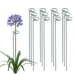 Thealyn 12 Pack 91cm / 36 Inch Plant Support Stakes Metal Single stemmed Flower Support Hoops Garden Plant Stakes Plant Prop for Amaryllis Orchid Lily Rose Peony Tomatoes Gladiolus