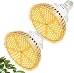 MILYN 100 W Pack of 2 LED Plant Lamps, E27 Sunlike Full Spectrum Grow Light for Fast, Healthy Plant Growth, Ideal for Garden, Greenhouse, Indoor Plants, Seedlings, Vegetables & Flowers