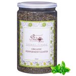 The Indian Chai Organic Peppermint Tea Loose Leaves Herbal Tea In Airtight Jar 100 Gram (Pack Of 1)