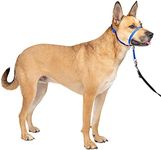 PetSafe Gentle Leader No-Pull Dog H