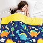 Kids Weighted Blanket 3lbs, 36" x 48", Insugar Dinosaur Fleece Minky Dots Children Heavy Blanket for Sleeping Calm, Dual Sided Soft Cozy Lap Blankets Throw, Gift for Boys and Girls, Blue