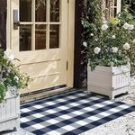 LEEVAN Buffalo Plaid Outdoor Rug, 3x5 Blue and White Checkered Door Mat, Cotton Woven Washable Welcome Mat for Kitchen, Farmhouse Entryway Carpet