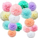 Time to Sparkle 16pcs Mix Tissue Paper Pompoms Pom Poms Flower Handmade Wedding Party Decorations Balls, Colorful Shade