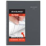 AT-A-GLANCE 2025 Appointment Book Planner, Weekly & Monthly, 8-1/2" x 11", Large, Quarter-Hourly, DayMinder, Gray (GC5200725)