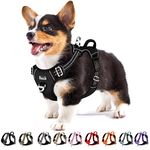 Eyein Dog Harness Small Dog, Anti Pull Adjustable Heavy Duty Pet Vest Harness with 2 Clips, Easy Control Escape Proof Puppy Harness with Soft Padded Handle Reflective for Outdoor Training Walking, S