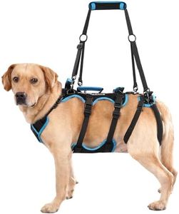 Lafoty Dog