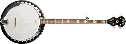 Washburn Americana Series B10-A 5-string Banjo Gloss Sunburst