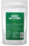 Humboldts Secret Sea Kelp Powder Extract | Water Soluble Fertilizer Seaweed | Concentrated Formula w/Nutrients & Minerals 0-0-16 | for Lawn, Garden, Houseplants, Succulents, Hydroponics, Etc | 2lb