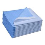 Avalon Papers 359 Stretcher Sheet, Tissue/Poly, 40'' x 90'', Blue (Pack of 50)