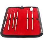 Professional Dental Hygiene KIT by PRECISE CANADA | 6 Peice Stainless Steel Instruments Including TARTER Scraper Scaler Remover Tool,Dental Pick, Probe, Anti-Fog Teeth Mirror, Burnisher, PET Friendly