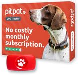 PitPat GPS Dog Tracker No Monthly F