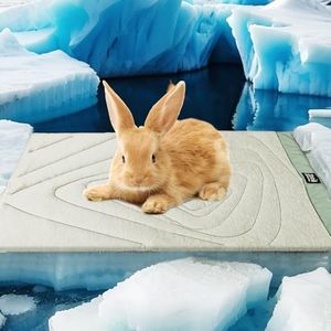 ZonLi Dog Cooling Mat, 20" x 16"Small, Waterproof Cooling Pad for Cats & Rabbits, Portable & Durable Pet Mat for Crate, Trunk, Camping, Outdoors, Machine Washable, Ice Green
