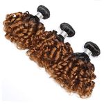 YanT HAIR 8A Grade Brazilian Virgin Hair Bouncy Curly Human Hair Weave Bundles Double Drawn Weft Ombre Two Tones #T1b/30 Color 10 12 14 inches